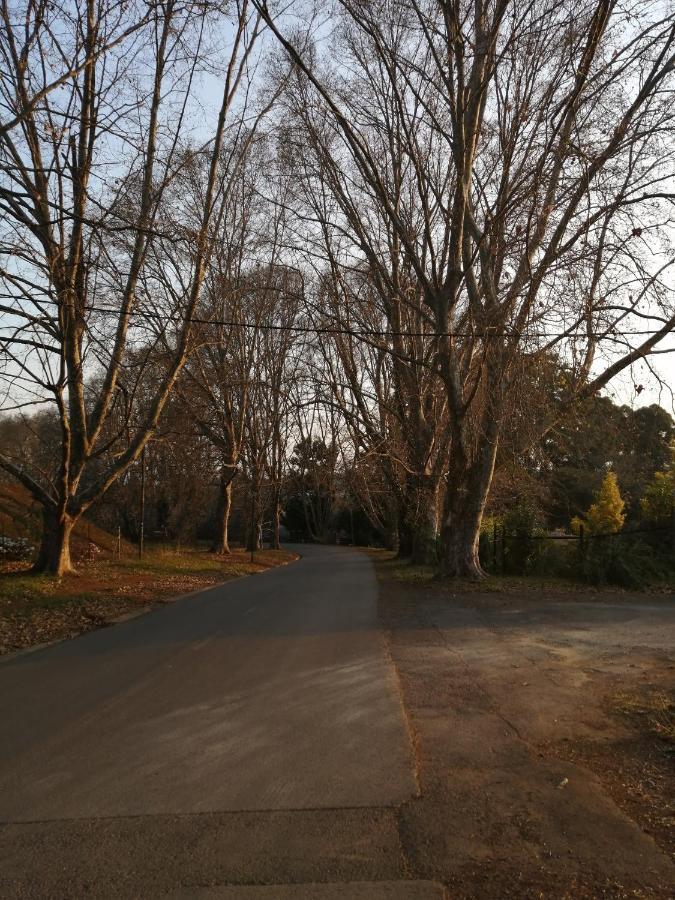 האוויק Cooper Cottage מראה חיצוני תמונה